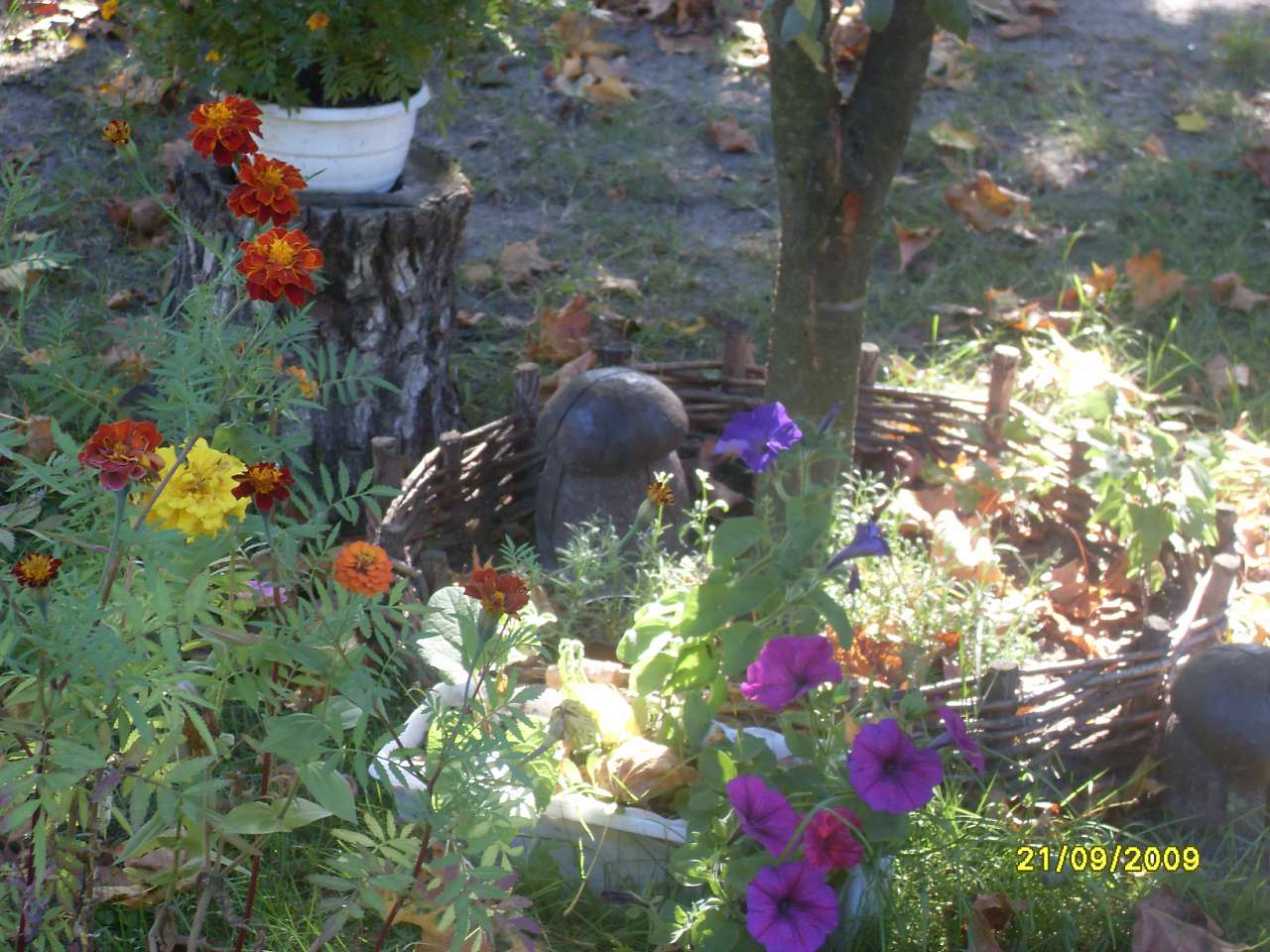 Моэ село - Черемошная Воля