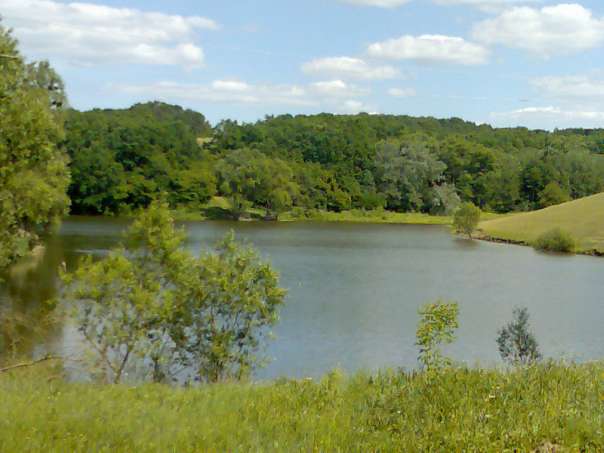 Крайовиди - Рокитне