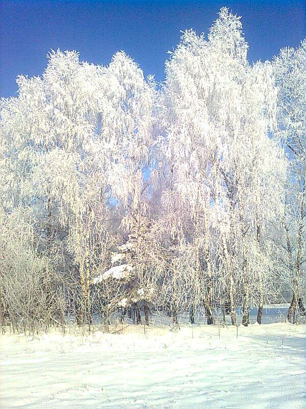 Моэ село - Черемошна Воля