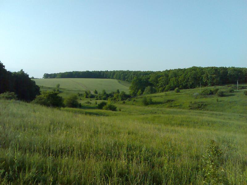 Крайовиди - Нижня Озеряна