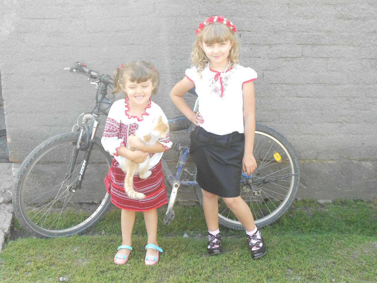 моя родина - Рогожаны