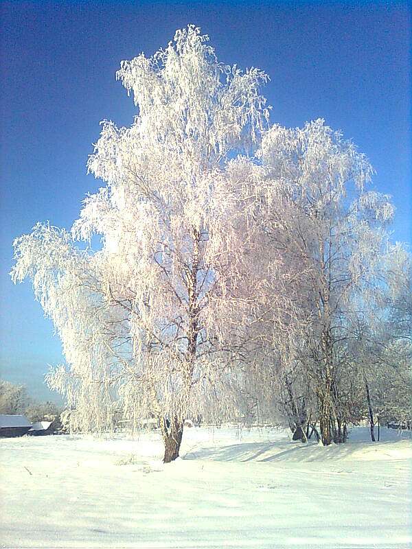 Моэ село - Черемошна Воля