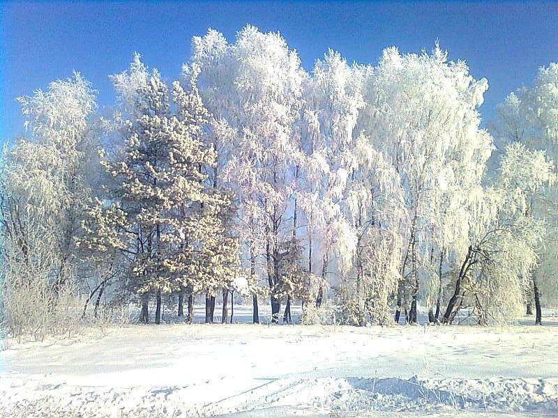 Моэ село - Черемошна Воля