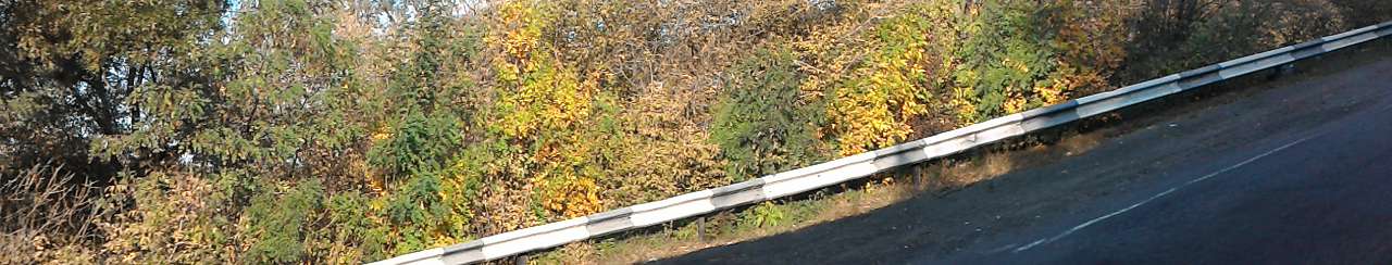 Ліс - Держів