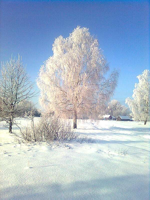 Моэ село - Черемошна Воля