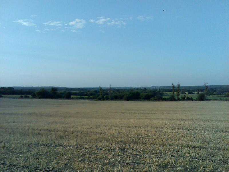 Соняшникове поле - Селекційне