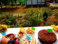 КАТЕРИНОПІЛЬ, 22.09.2017