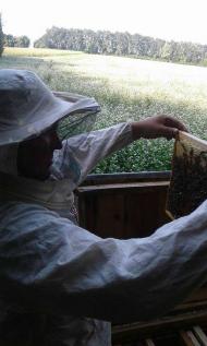 НАДТОЧАЇВКА