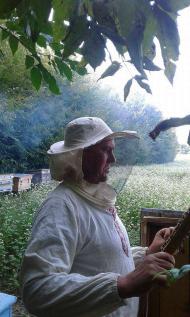 НАДТОЧАЇВКА