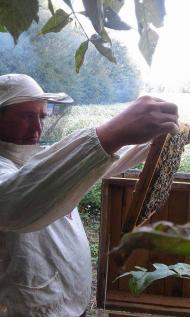 НАДТОЧАЇВКА