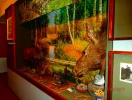 КАТЕРИНОПІЛЬ, 22.09.2017