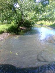 річка Вівнянка