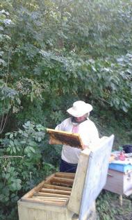 НАДТОЧАЇВКА