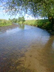 річка Вівнянка