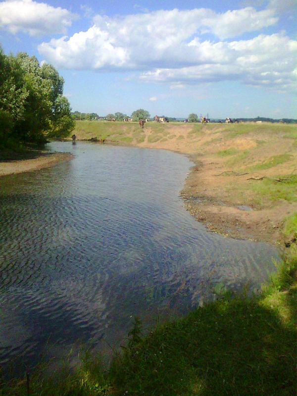 річка Вівнянка - Derzhiv