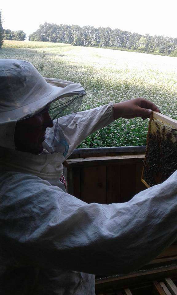 НАДТОЧАЇВКА - Надточаївка