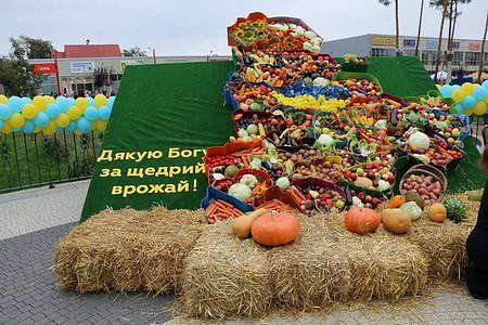 Вишгородський район – переможець фестивалю - Vishgorod