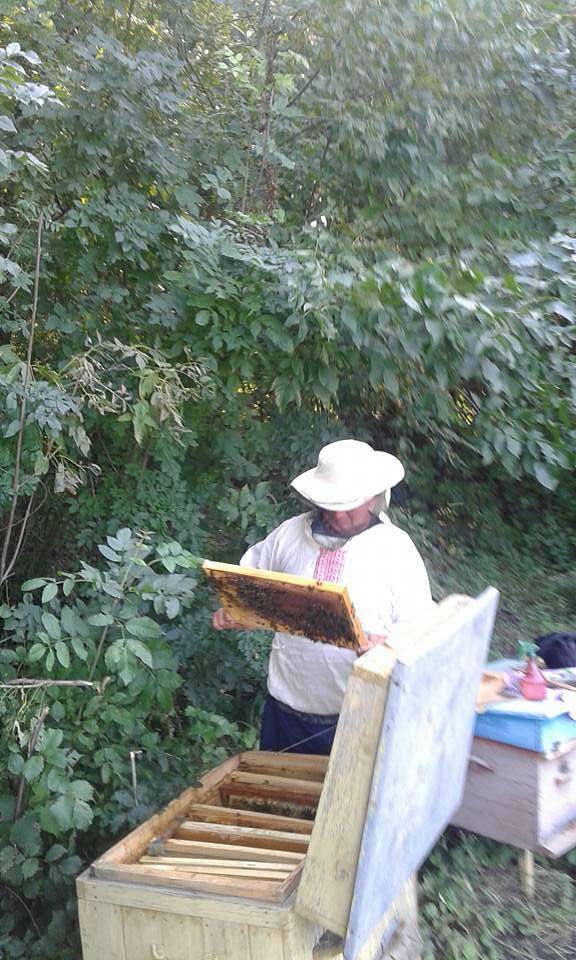 НАДТОЧАЇВКА - Надточаївка