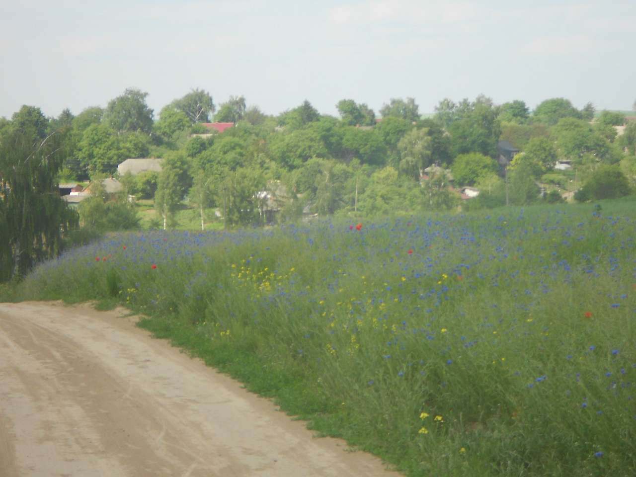 село і люди - Verkhniv