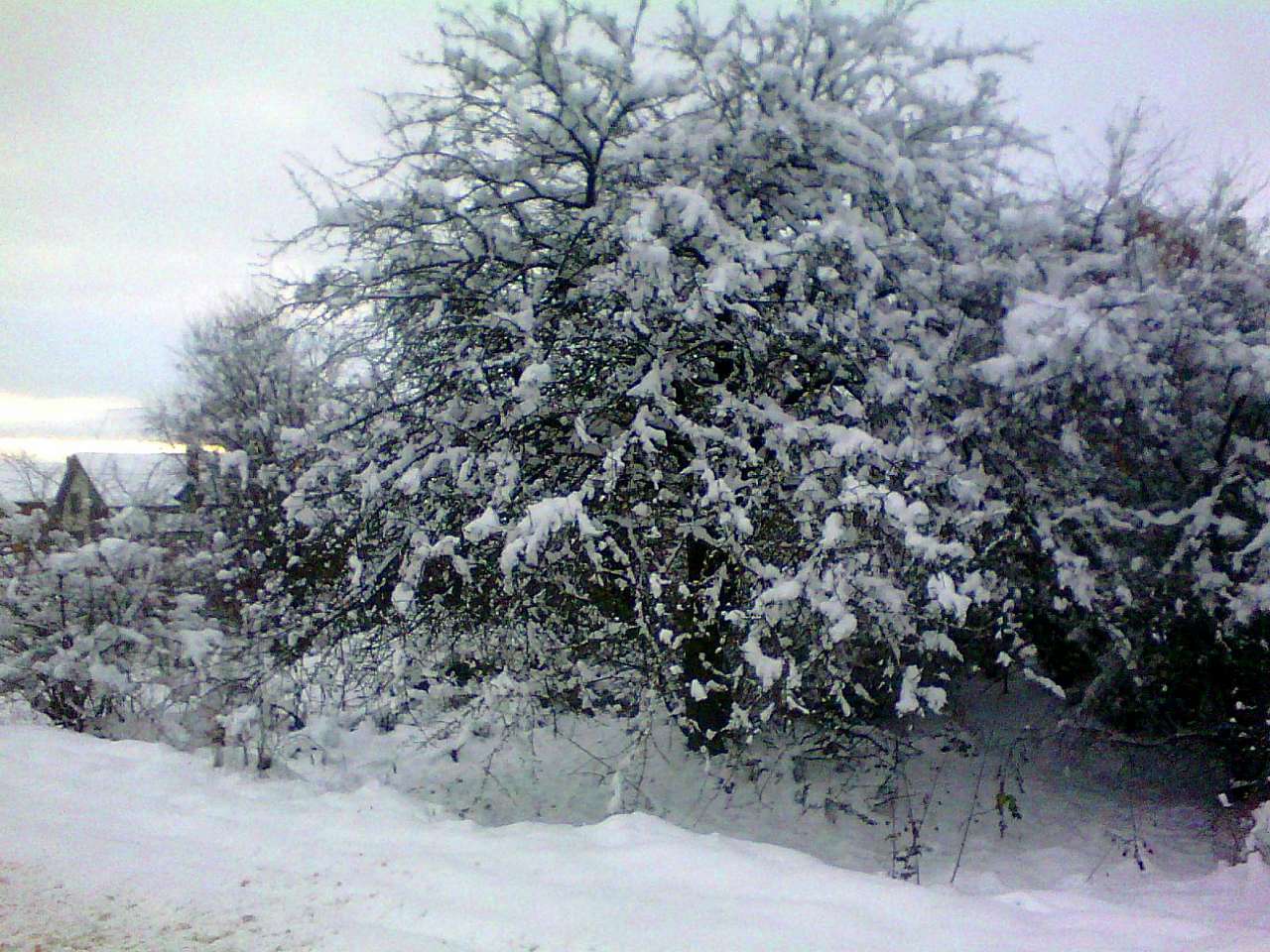 краєвид - Slobidka