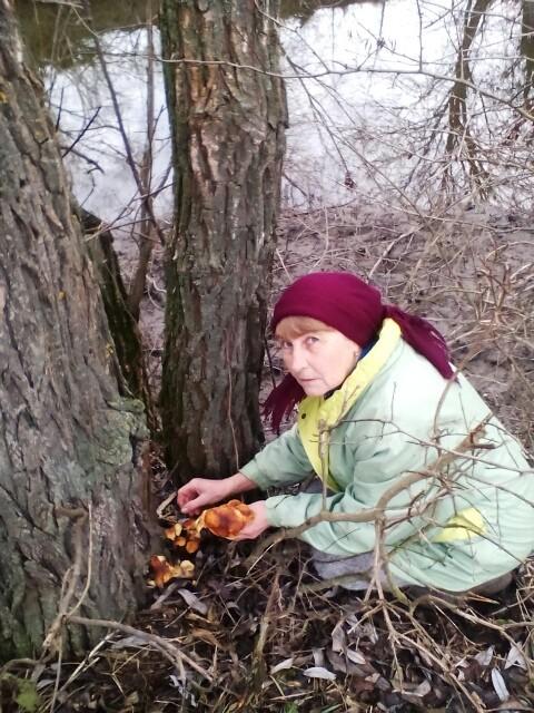 В  Шаулисі - Шаулиха