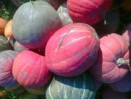 природні фантазії