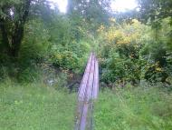 річка Вівнянка