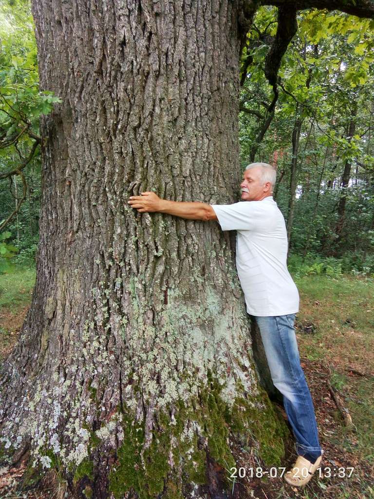 історія - Юрове