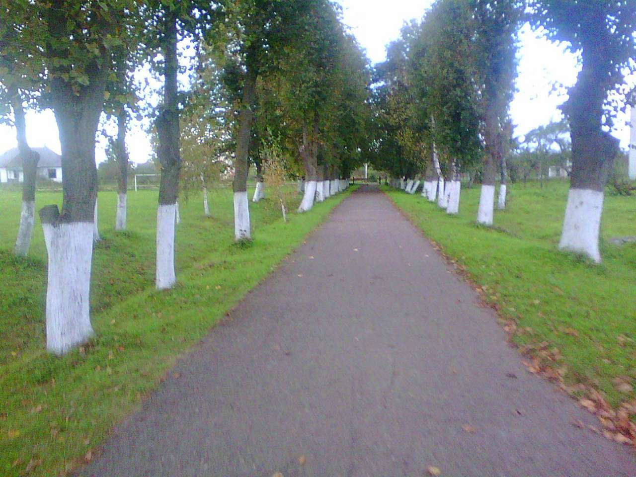 школа - Держів