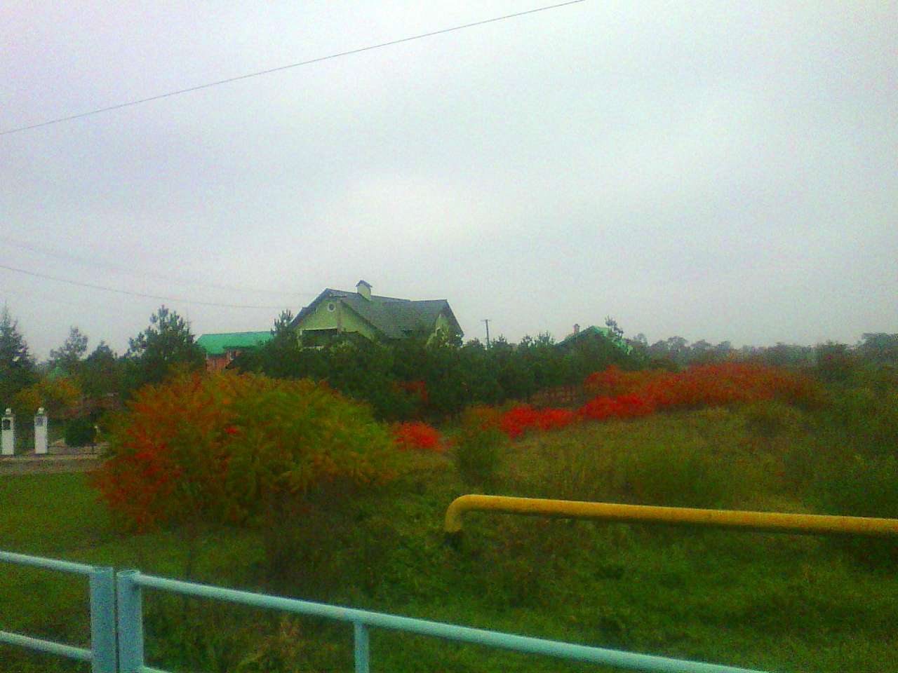 краєвид - Миртюки