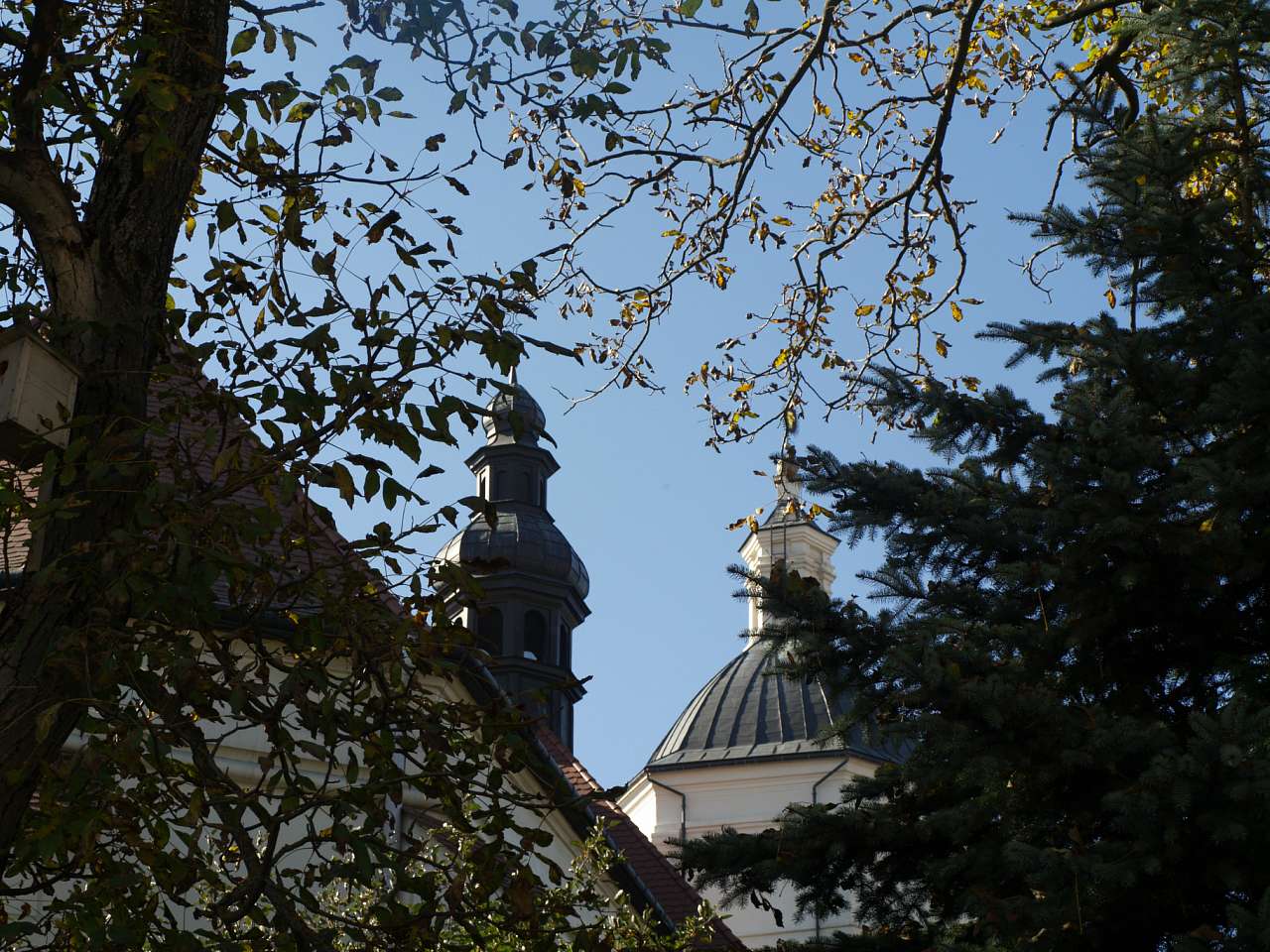 Костел Святого Івана Хрестителя - Самбір