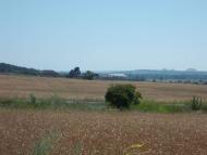 Sydorove - Latest photos