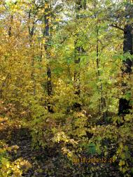 Добрий день Погоріла!