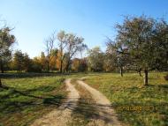 Добрий день Погоріла!