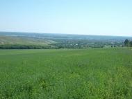 Окрестности