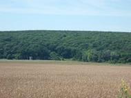 Окрестности