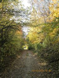 Добрий день Погоріла!