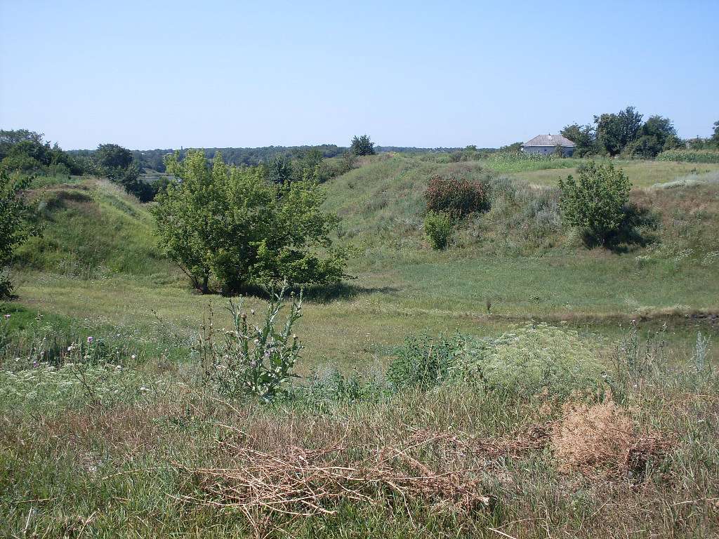 альбом - Ревбинці