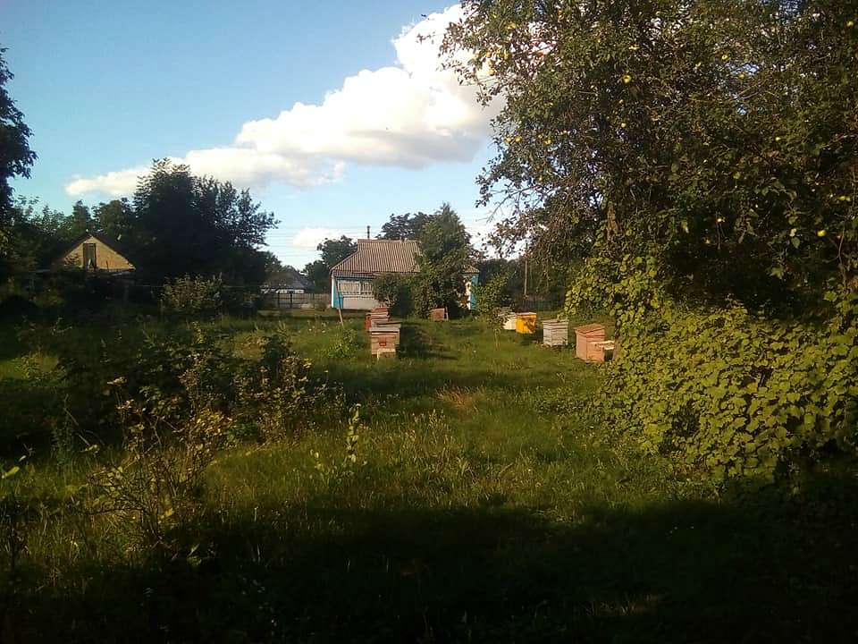 ТЕРЕШКИ - Терешки