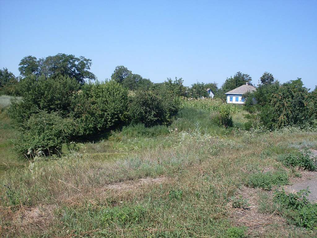 альбом - Ревбинці