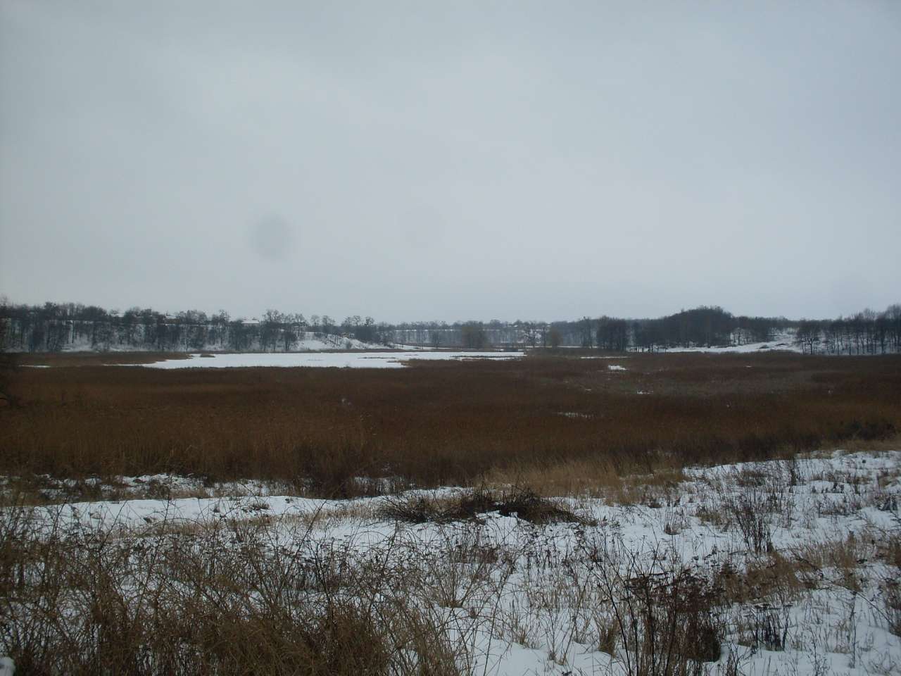 альбом - Ревбинці