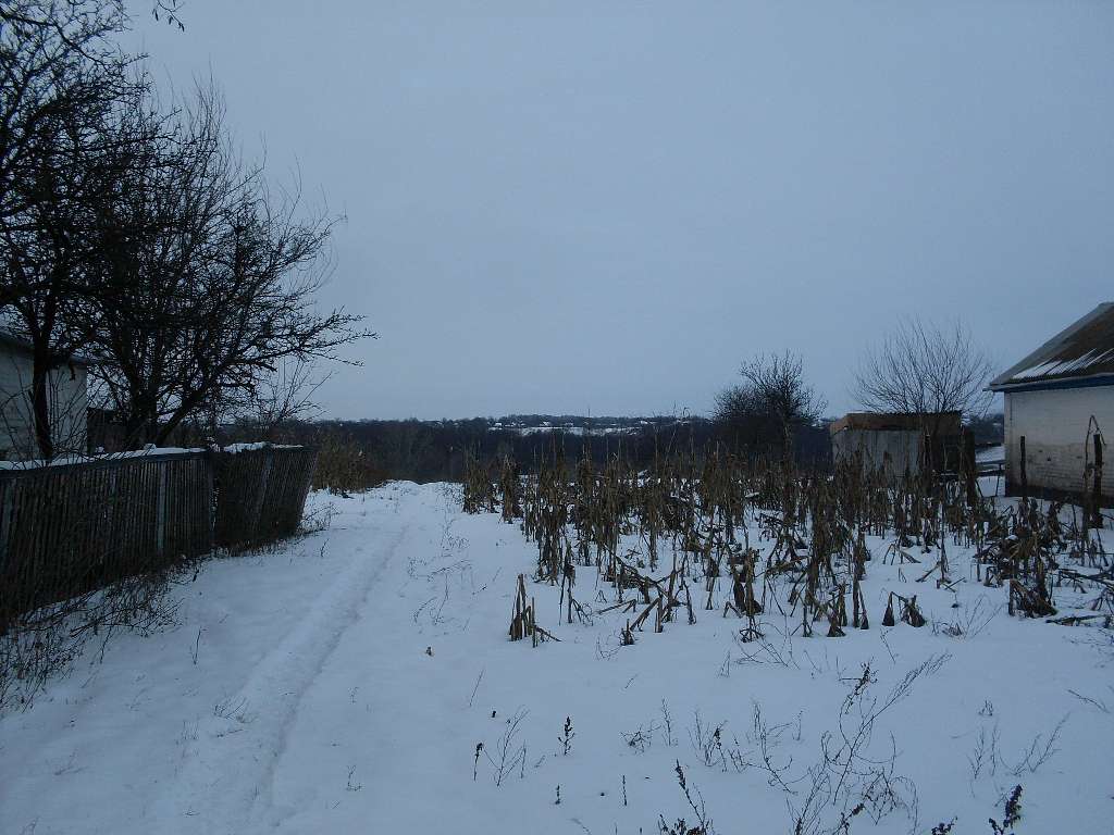 альбом - Ревбинці