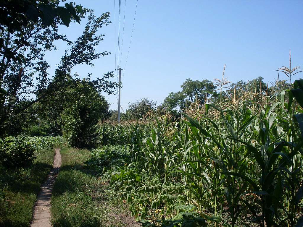 альбом - Ревбинці