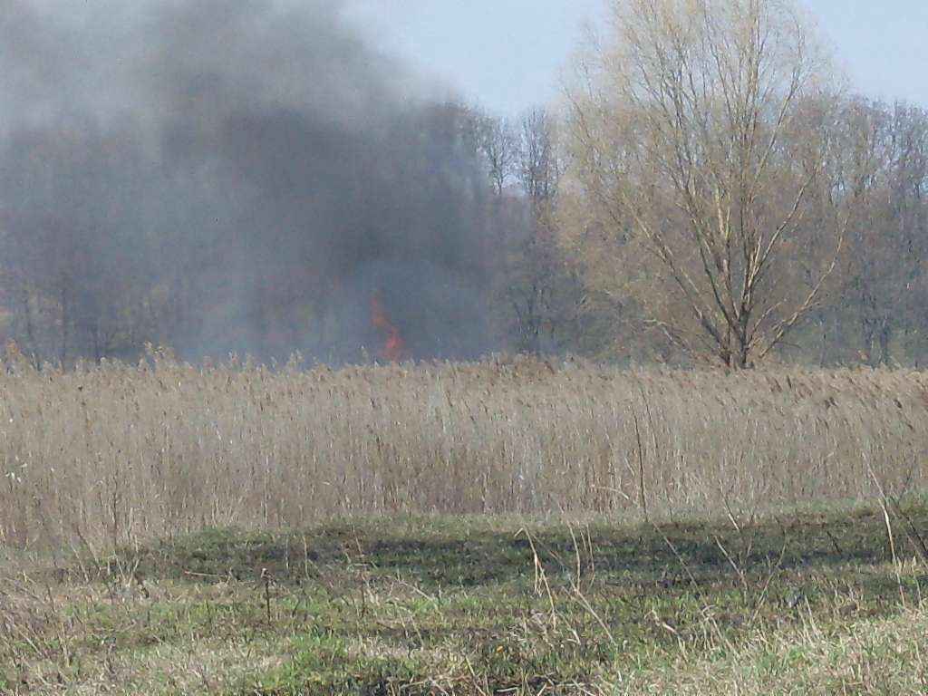 альбом - Ревбинці