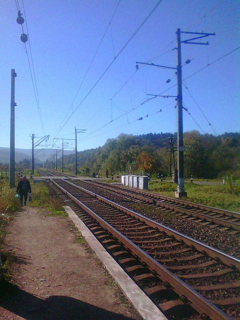 Колія - Нижня Стинава