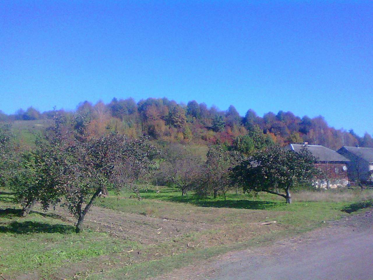 краєвид - Нижня Стинава