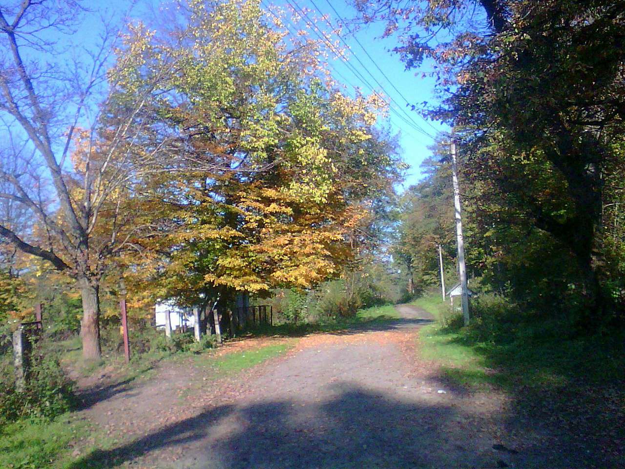 краєвид - Стрілків