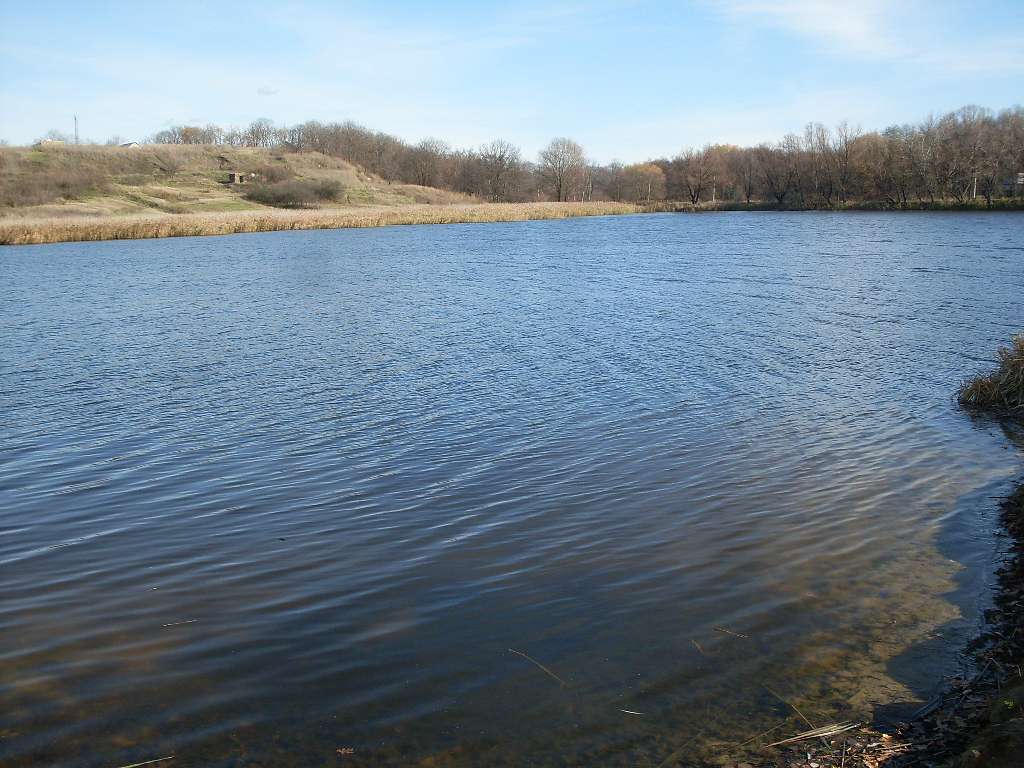 альбом - Ревбинці