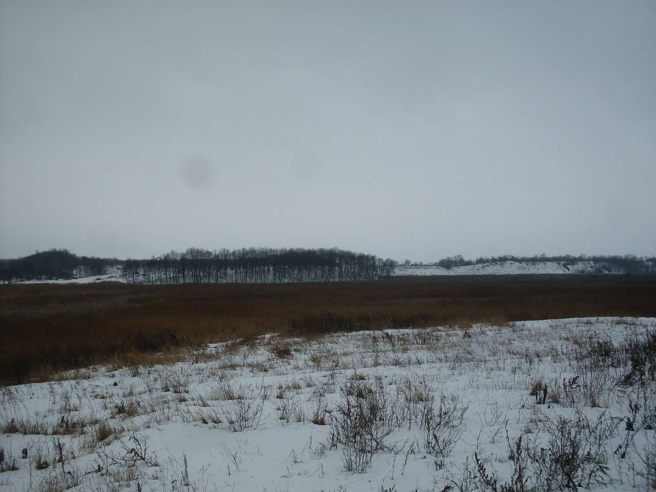 альбом - Ревбинці
