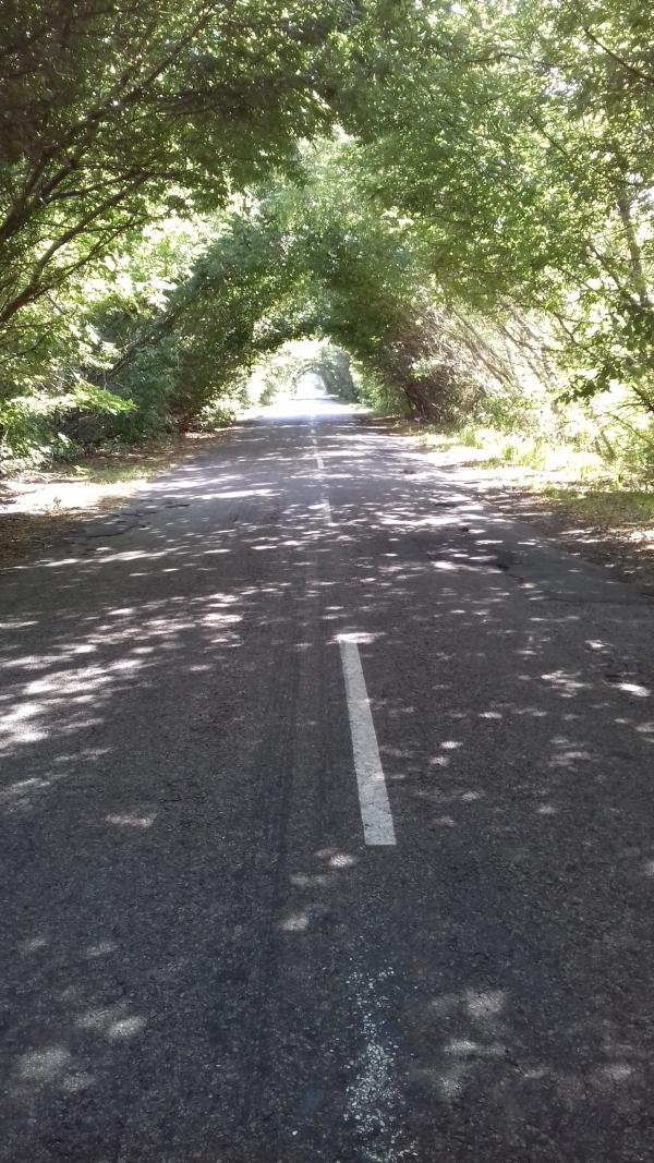 Славний Переяслав у світлинах - Переяслав-Хмельницький